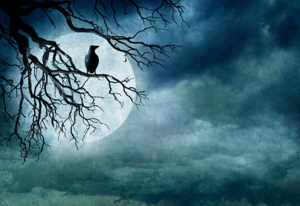 A black raven sits in a barren tree against a full moon on Halloween night. The night time sky provides ample room for copy and text.