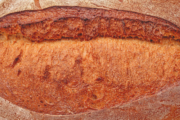 fresh baked bread crust stock photo