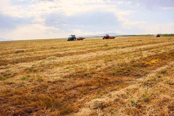 This image was taken in Ivanovka, Azerbaijan