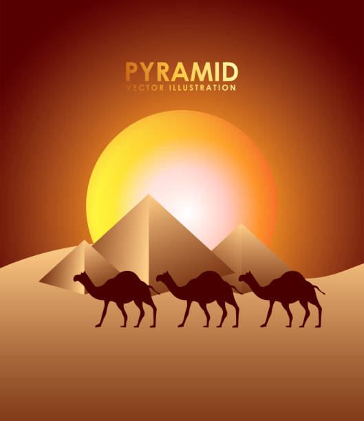 illustrazioni stock, clip art, cartoni animati e icone di tendenza di piramide egitto - egypt cairo pyramid sunset