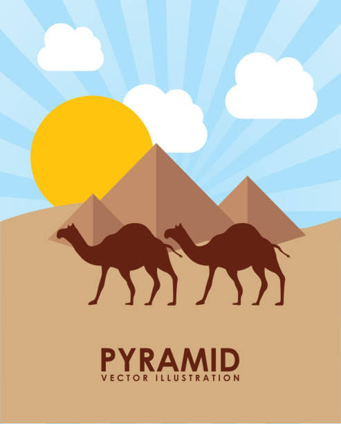 illustrazioni stock, clip art, cartoni animati e icone di tendenza di piramide egitto - egypt cairo pyramid sunset