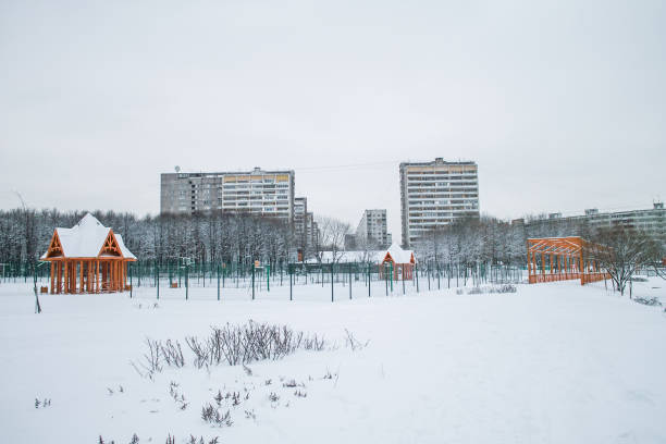 istock Terletsky park at winter, Moscow, Russia 847870602
