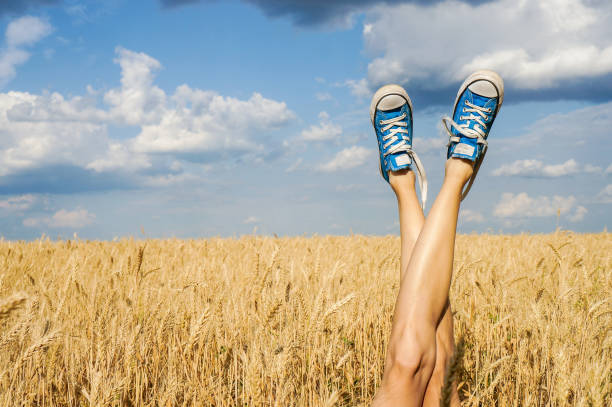 istock Summer legs over field and sky 847871140