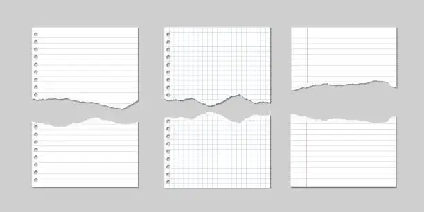 Vector illustration of Set of Vector Illustrations of torn pages of notebook paper lined and square with shadows