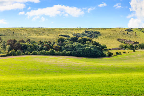 istock Sussex Landscape 847889794