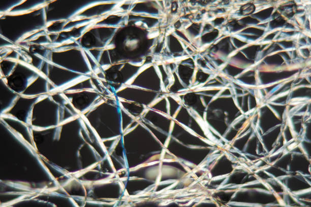 istock Cotton fibers under the microscope 847896898