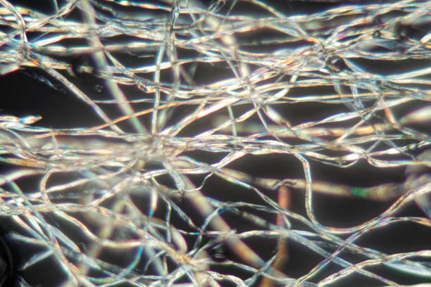 fibres de coton sous le microscope - interlacement photos et images de collection