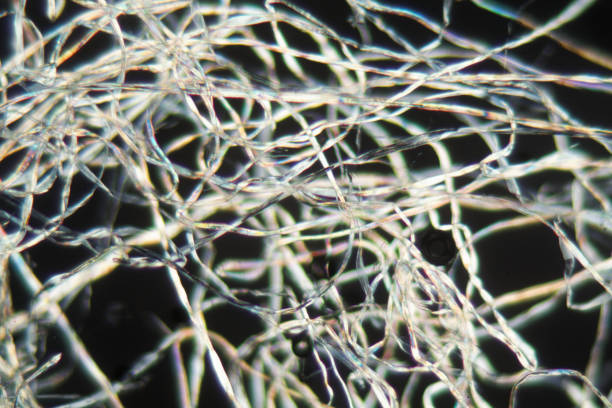 хлопковые волокна под микроскопом - interlacement стоковые фото и изображения