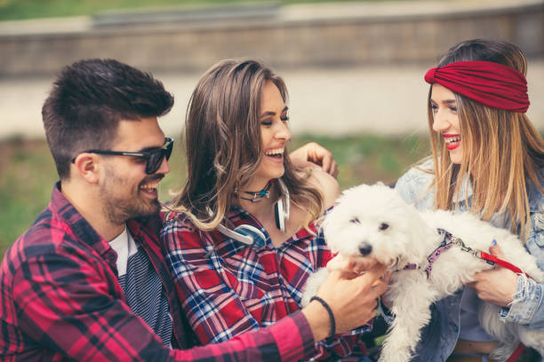 istock Friends in the park having fun with cute puppy 847902100