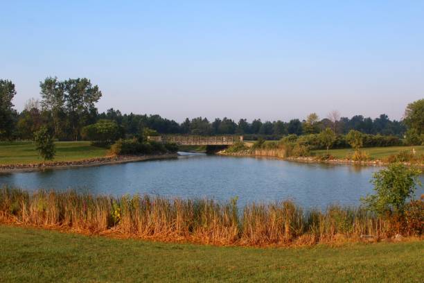 istock Park Landscape and Lake 847910174