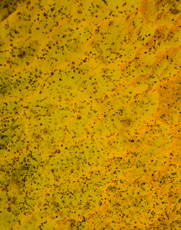 Yellow Ice Texture Ice Texture Yellow Abstract Water Background Melted Metal Surface ...