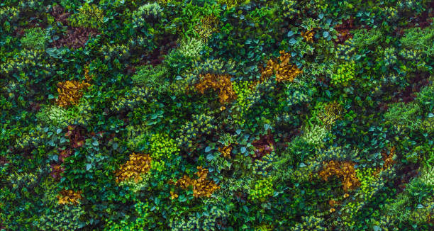 istock Variety of artificial plant in vertical garden 847931514