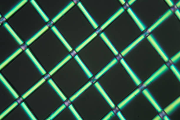 Polylactic acid under the microscope A net of polylactic acid under the microscope and in polarized light. Polylactic acid is a bioactive and biodegradable polymer, made of renewable resources. polylactic acid stock pictures, royalty-free photos & images