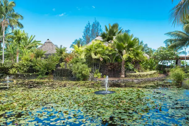 Papeete, Paofai gardens, Tahiti in Polynesia
