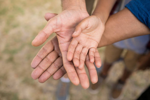 Close-up of child and adult person holding hands isolated on white