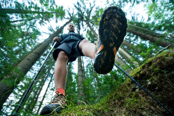 reisenden in wanderschuhen mit trekking-stöcke spaziergänge im wald - aufnahme von unten stock-fotos und bilder