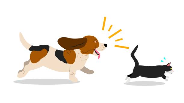 ilustraciones, imágenes clip art, dibujos animados e iconos de stock de perro gato persigue - chasing