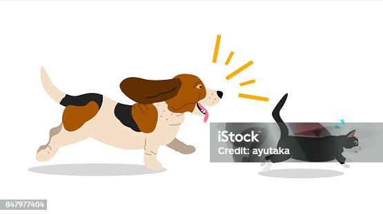 90 Dog Chasing Cat Illustrations & Clip Art - iStock | Dog running, Funny  dog, Cat run