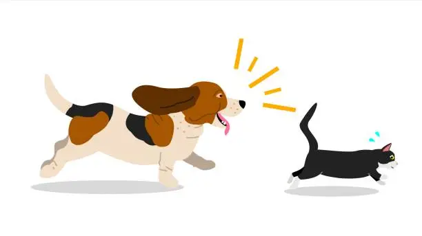 Vector illustration of dog chases cat