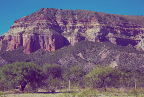 istock Geological formations in Ischigualasto 847984070