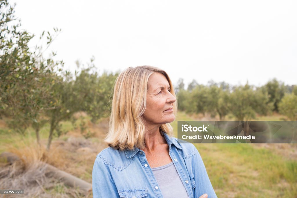 Nachdenkliche Frau im Olivenöl Feld - Lizenzfrei Eine Frau allein Stock-Foto