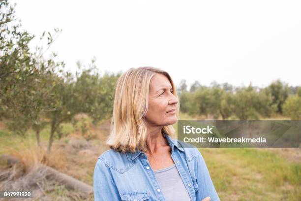 Nachdenkliche Frau Im Olivenöl Feld Stockfoto und mehr Bilder von Eine Frau allein - Eine Frau allein, Frauen, Ländliches Motiv