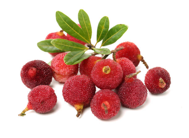 istock Red bayberry （Arbutus ） isolated on white background 847998634