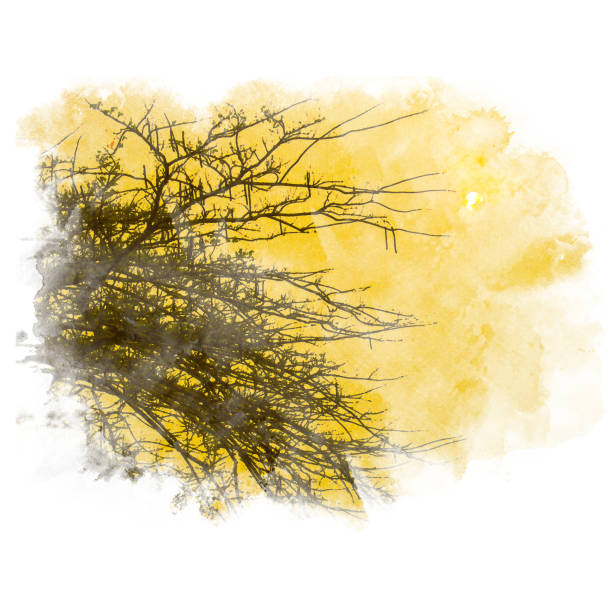 istock Branch silhouette watercolor painting (retouch). 847999400