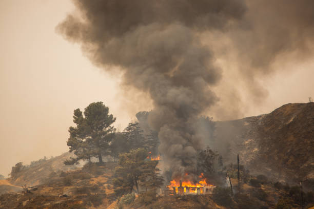istock La Tuna wildfire in Los Angeles, CA burning a structure 848016556