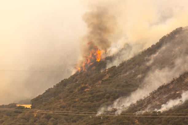 istock La Tuna wildfire in Los Angeles, CA burning mountains 848016594