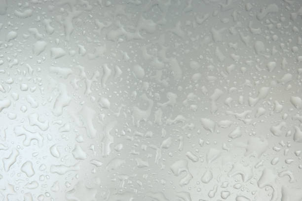 istock water drops on grey toned background, concept background 848043686