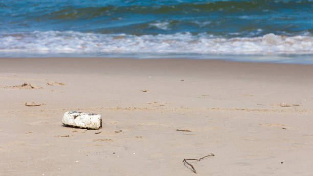 istock Beach with piece of wood caputred in summer 848045504