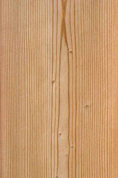 Macro with great detail of a larch wood plank