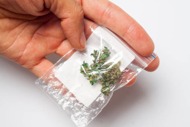 istock Hands of man a joint medicinal hemp 848054570