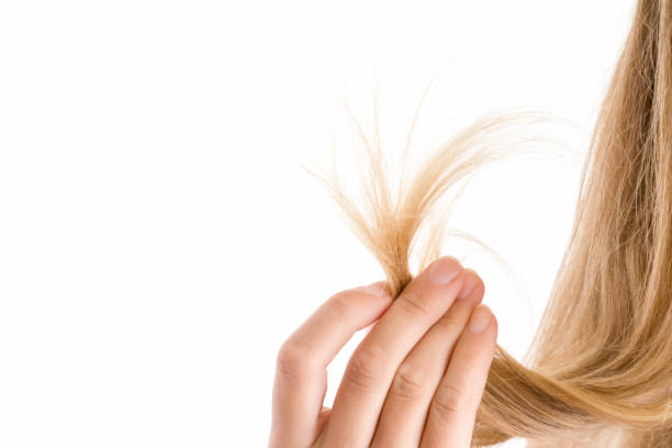 vrouw hand tonen dat een beschadigd haar eindigt geïsoleerd op de witte achtergrond. zorgen over een gezond en schoon haar. schoonheidssalon. lege plek voor een tekst. - geblondeerd haar stockfoto's en -beelden