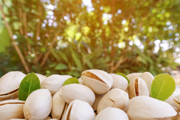 istock Pistachios with green leaf and nature background 848059448