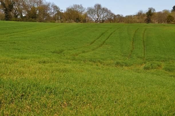 istock Rural landscape in Brittany 848085954