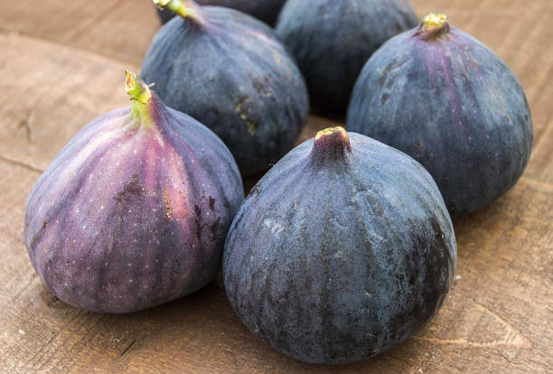 fresh black figs age paintings, fresh fig fruit in dish,