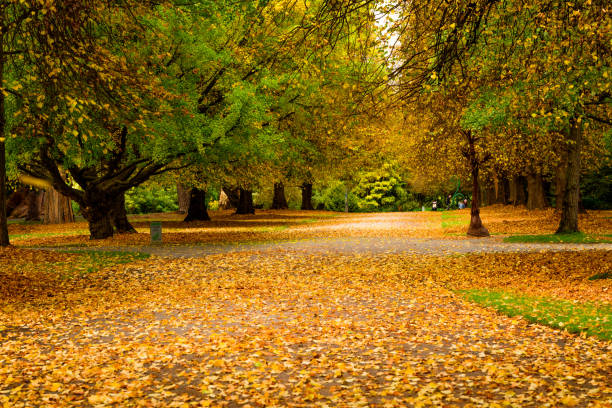 istock Botanic Gardens, Christchurch 848115146