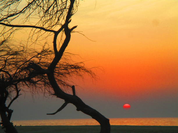 Bahraini beach at Sunset stock photo