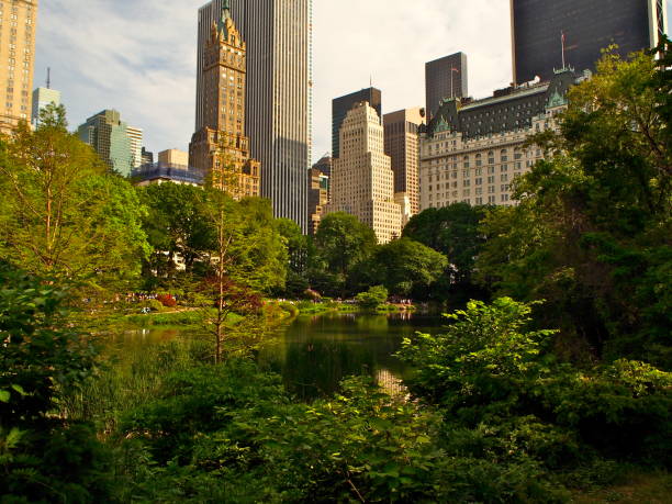 istock Central Park in New York 848125760