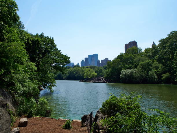 istock Central Park in New York 848125896