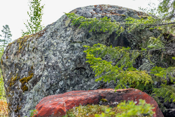 istock Red rocks in the forest in Norway 848126968