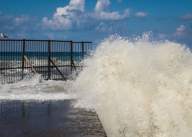 istock High wave with cloud of splash on beach in Sochi 848149804