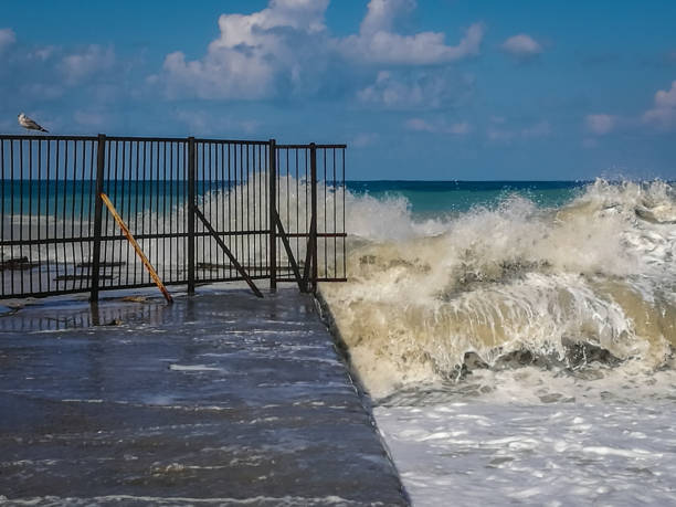istock High wave with cloud of splash on beach in Sochi 848149942