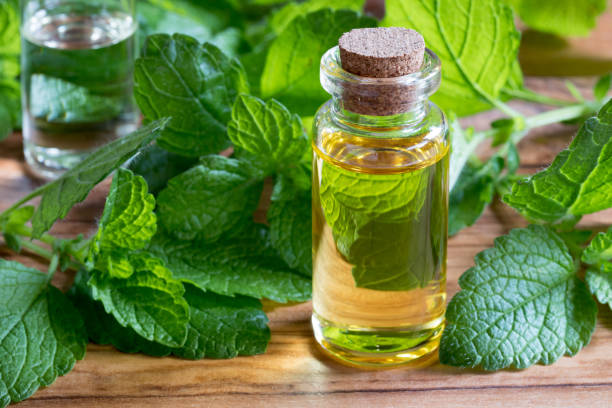 istock A bottle of melissa (lemon balm) essential oil 848150050
