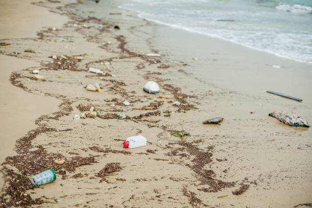 istock Beach pollution. Plastic bottles and other trash on sea beach 848162612