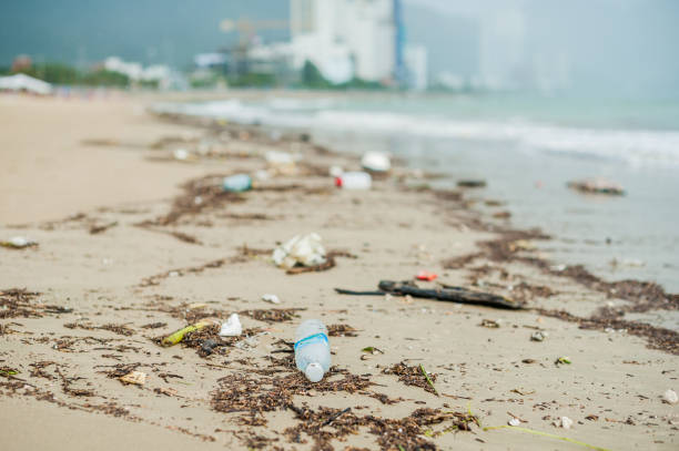istock Beach pollution. Plastic bottles and other trash on sea beach 848162626