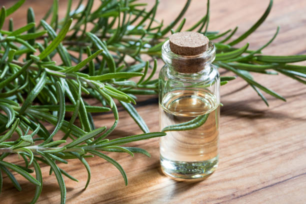 istock A bottle of rosemary essential oil 848170010