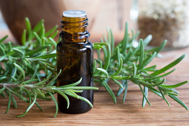 A bottle of rosemary essential oil A dark bottle of rosemary essential oil with fresh rosemary twigs aromatherapy oil photos stock pictures, royalty-free photos & images